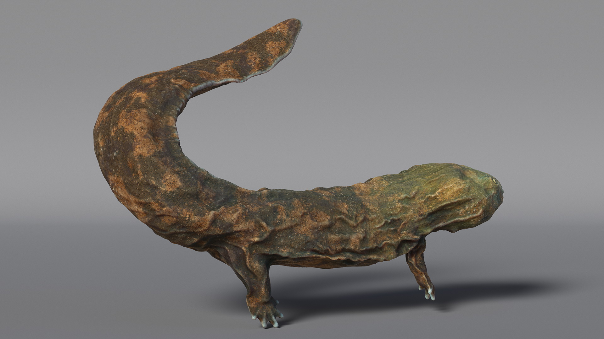 3D Aquatic Salamander Light Rigged