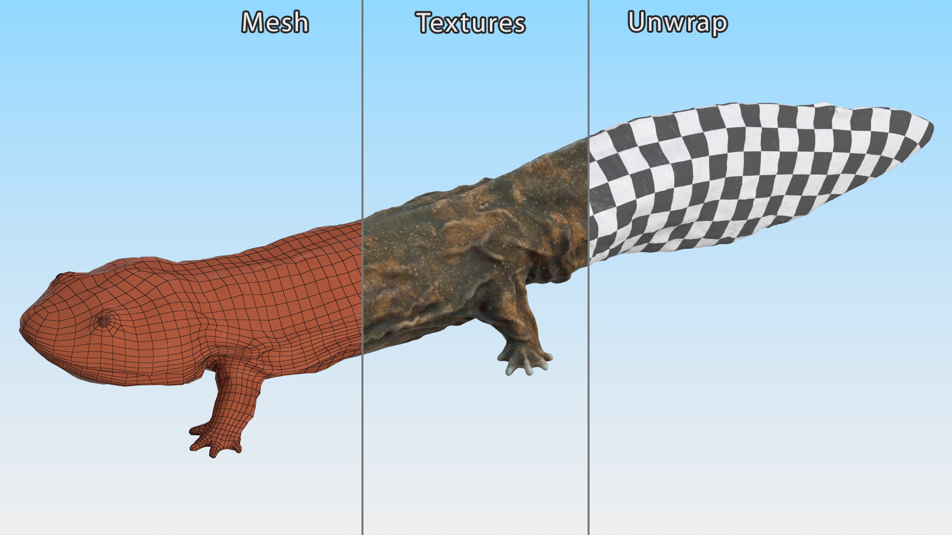 3D Aquatic Salamander Light Rigged