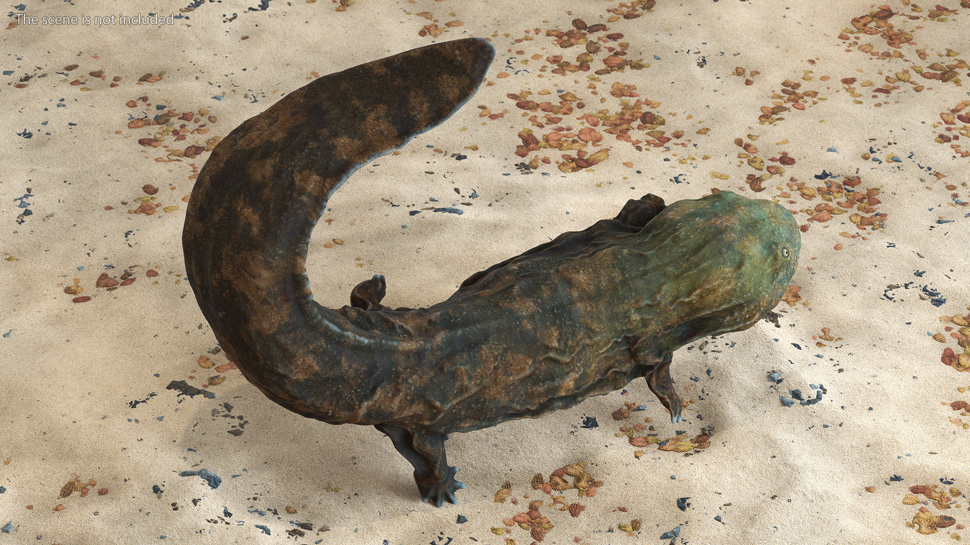 3D Aquatic Salamander Light Rigged
