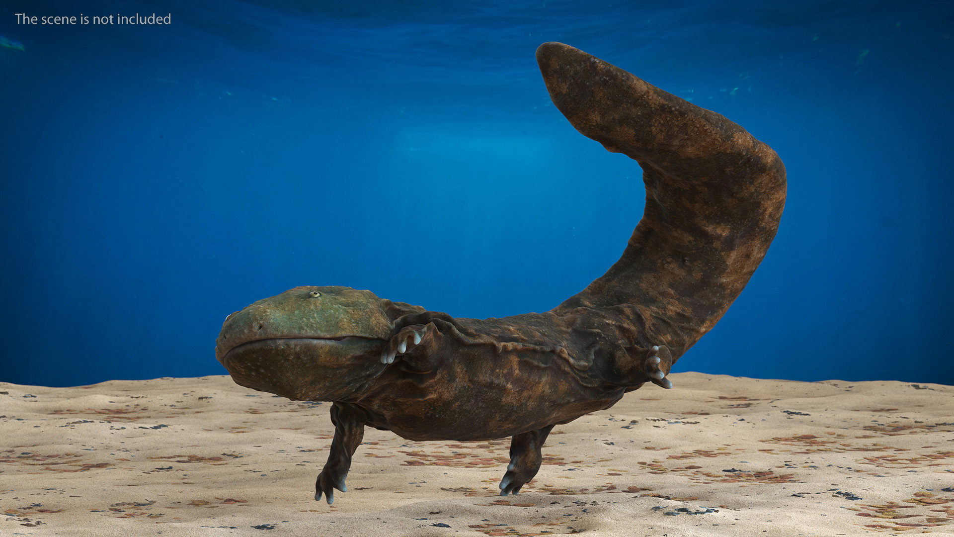 3D Aquatic Salamander Light Rigged