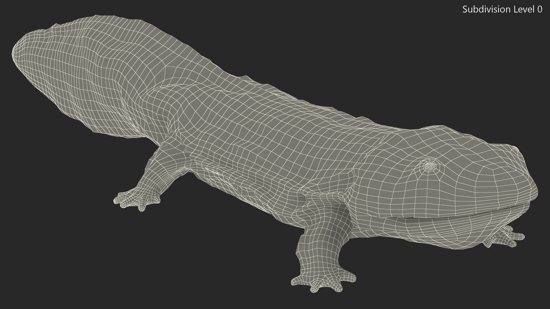 3D Aquatic Salamander Light Rigged