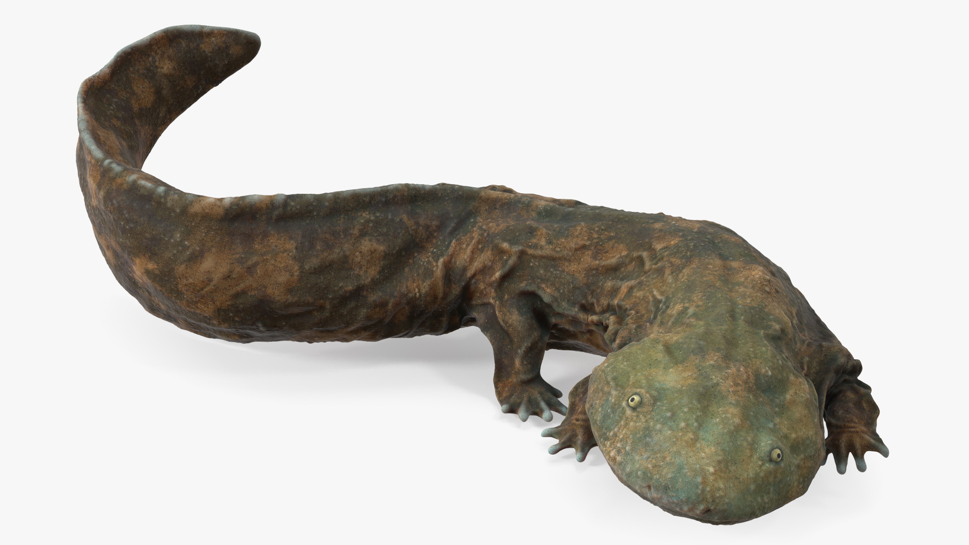 3D Aquatic Salamander Light Rigged
