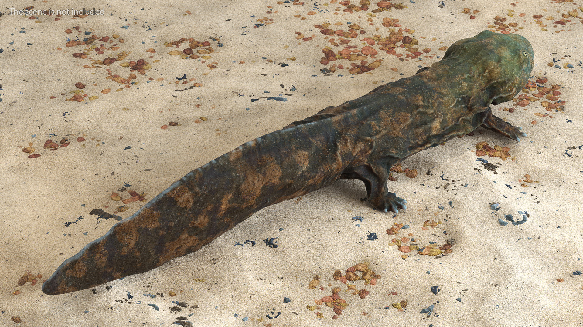 3D Aquatic Salamander Light Rigged