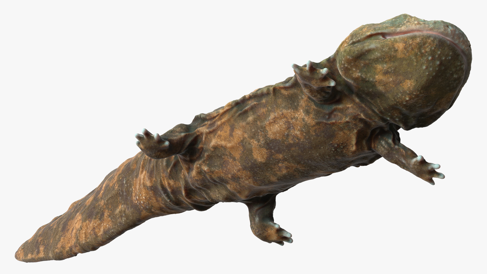 3D Aquatic Salamander Light Rigged