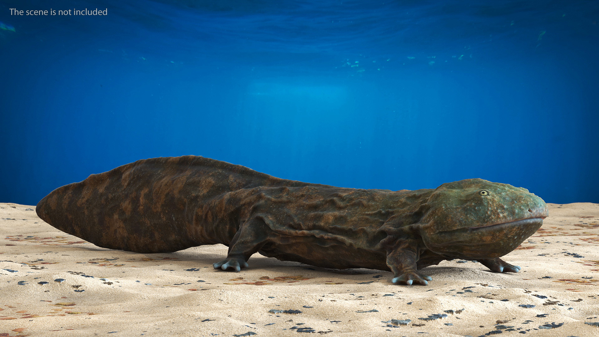 3D Aquatic Salamander Light Rigged