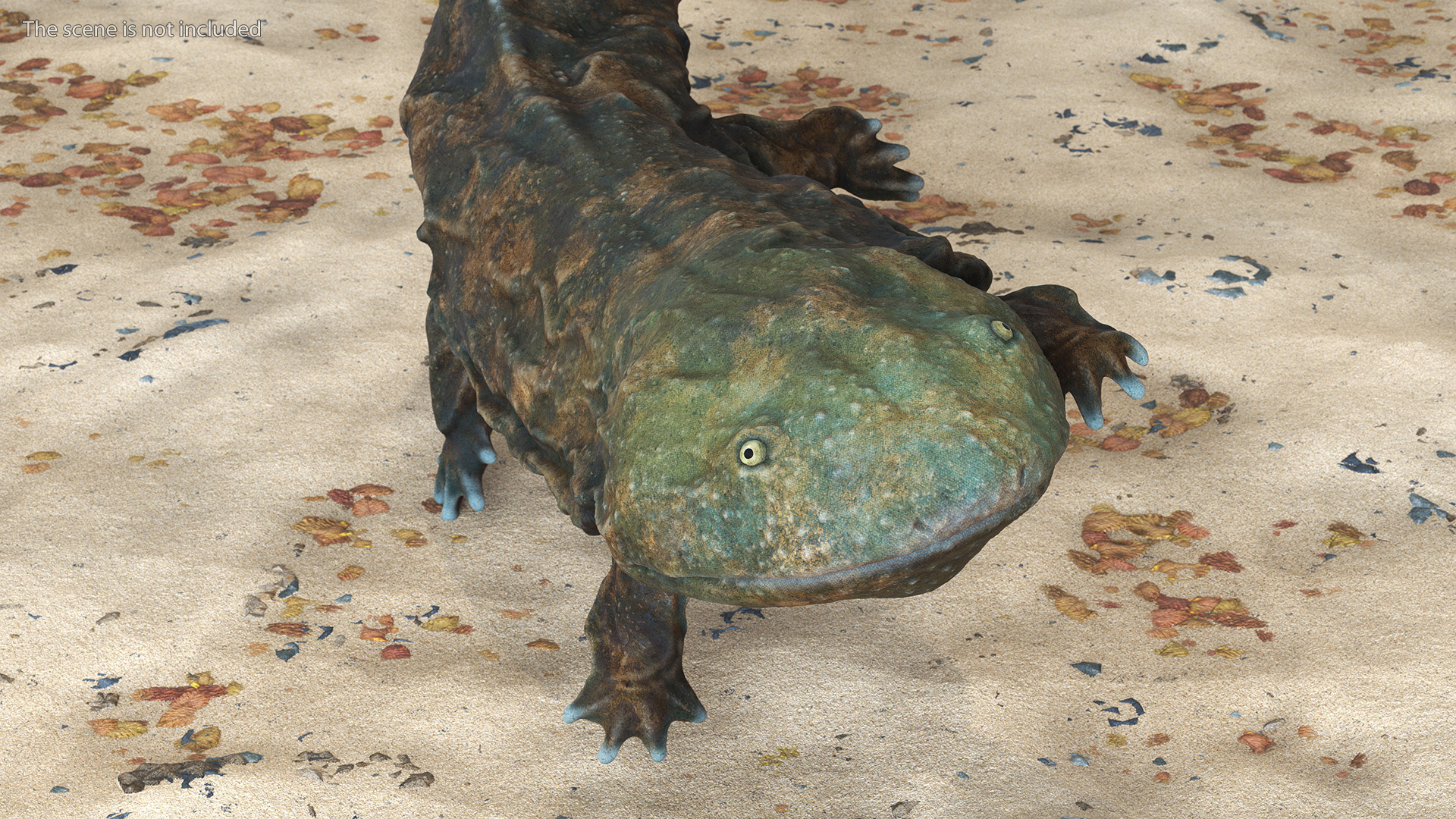 3D Aquatic Salamander Light Rigged