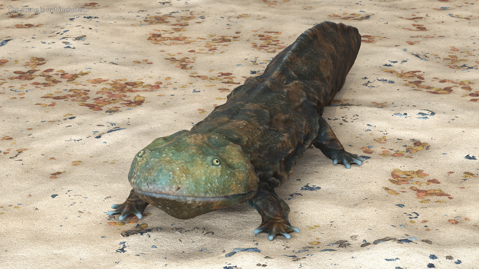 3D Aquatic Salamander Light Rigged