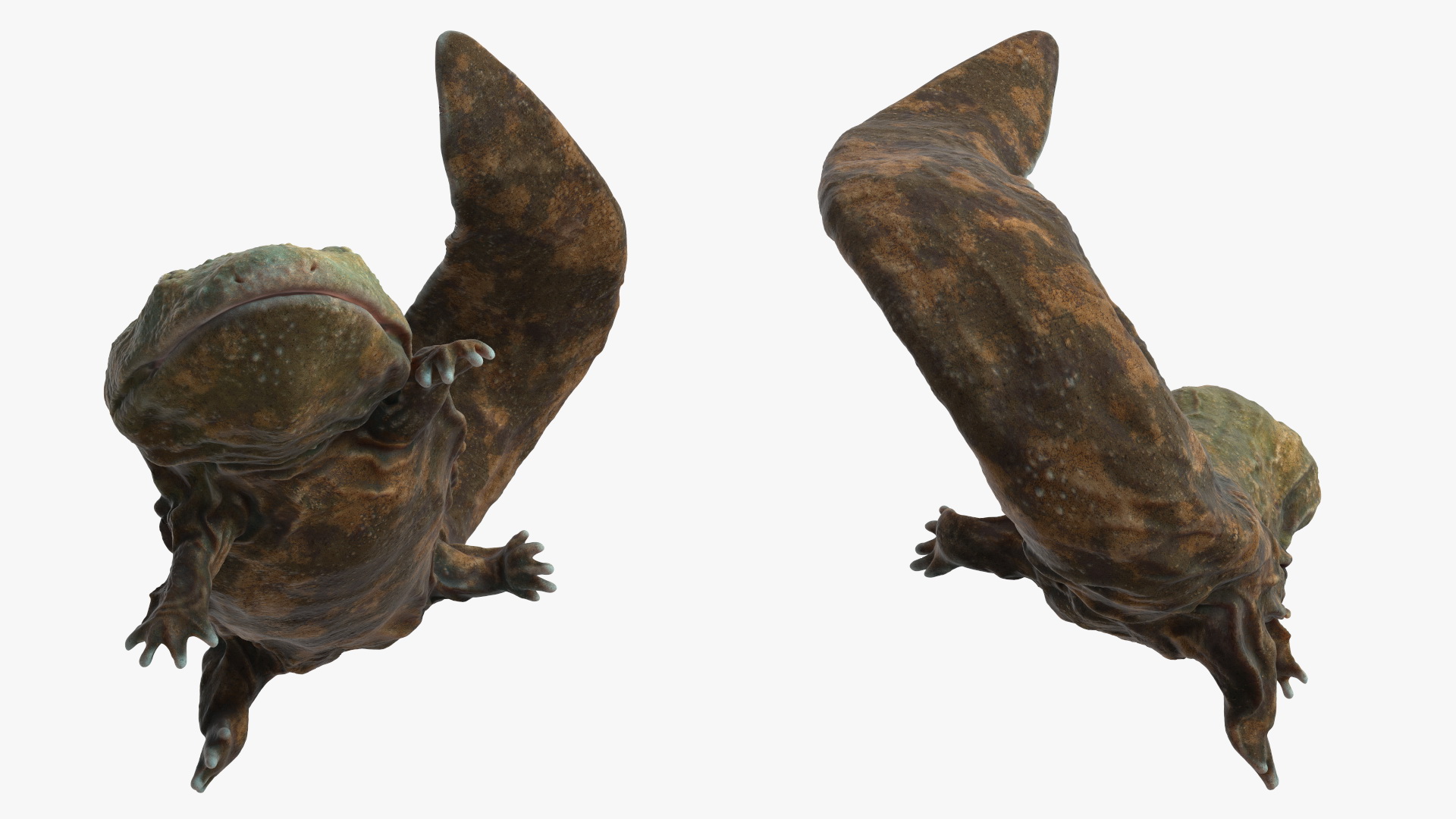 3D Aquatic Salamander Light Rigged