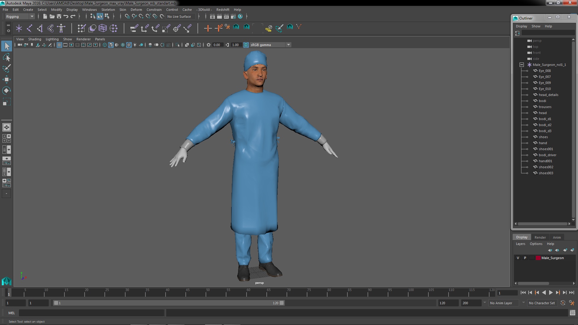 Male Surgeon 3D