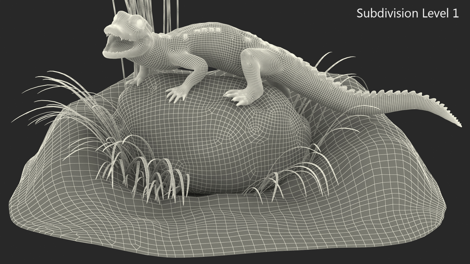 Baby Crocodile Natural Environment 3D model