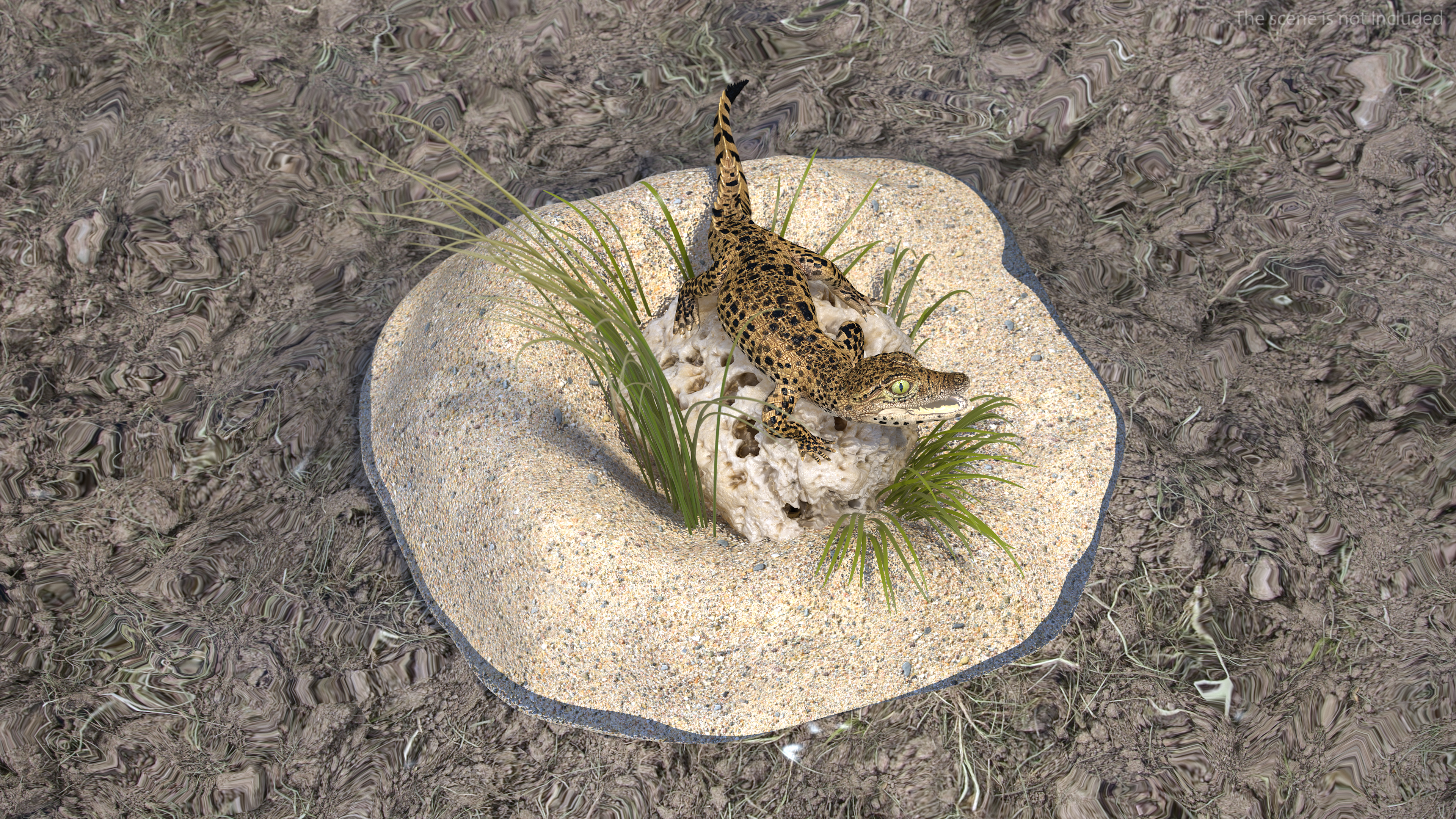 Baby Crocodile Natural Environment 3D model