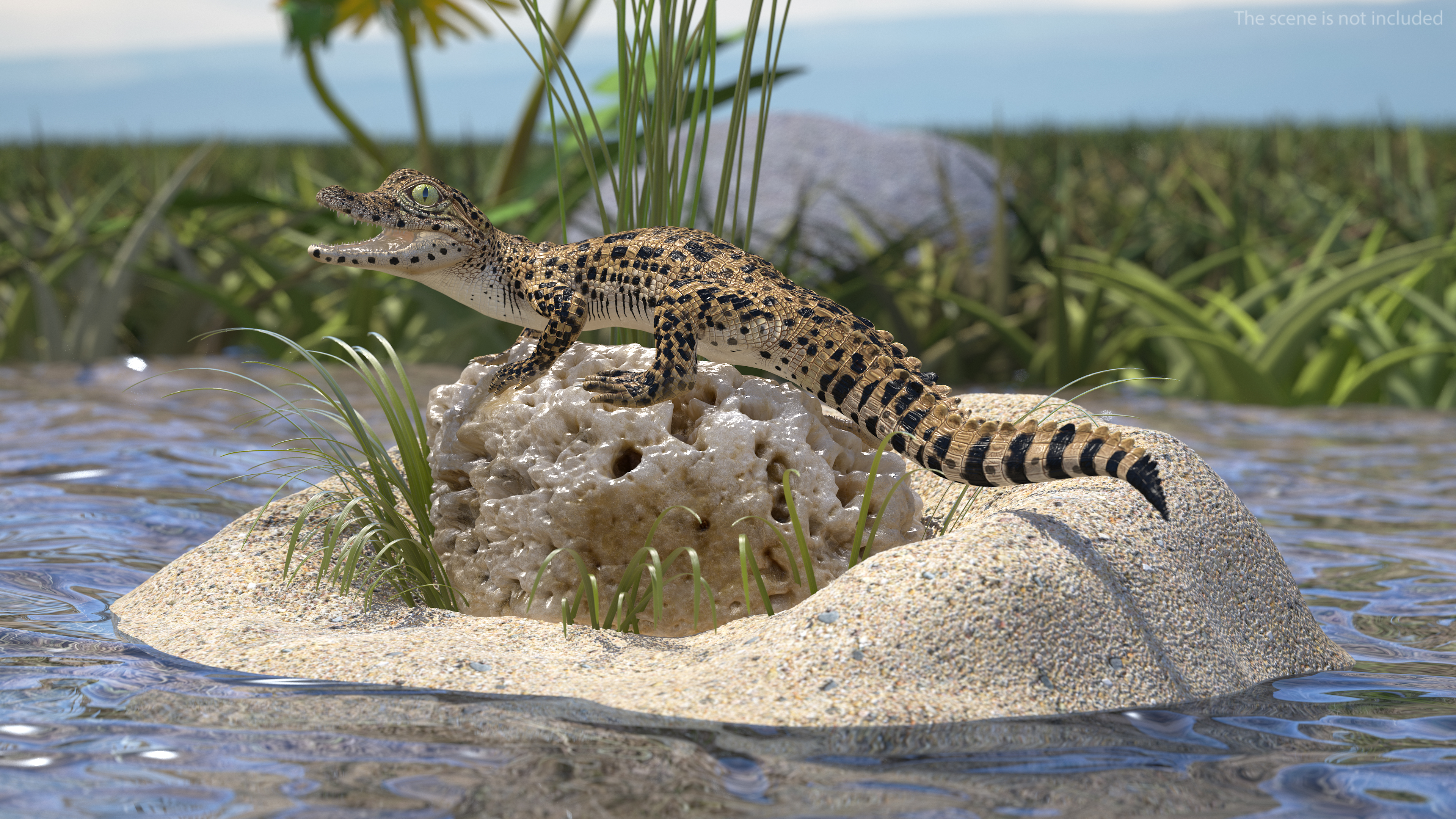 Baby Crocodile Natural Environment 3D model