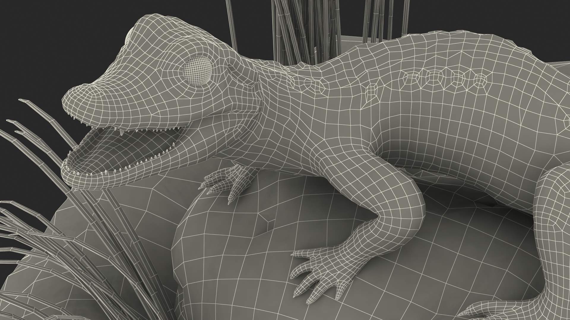 Baby Crocodile Natural Environment 3D model