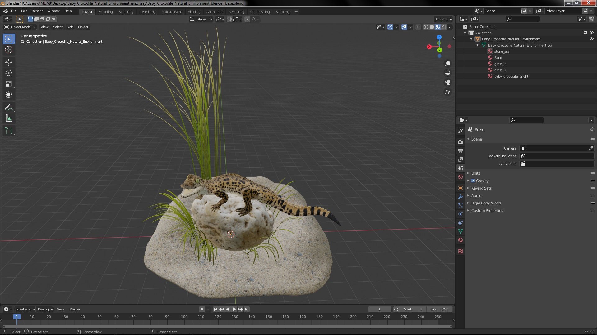 Baby Crocodile Natural Environment 3D model