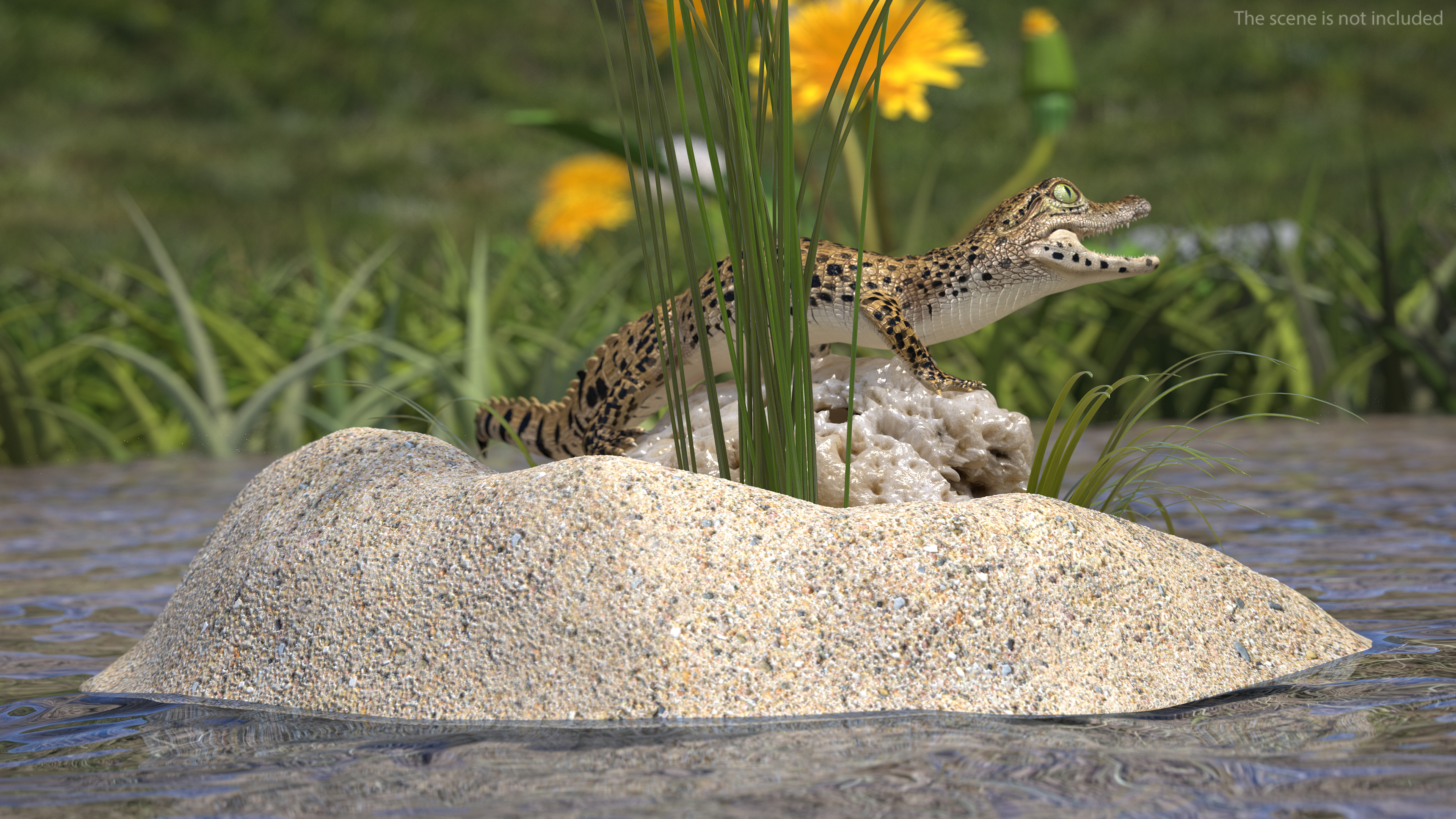 Baby Crocodile Natural Environment 3D model
