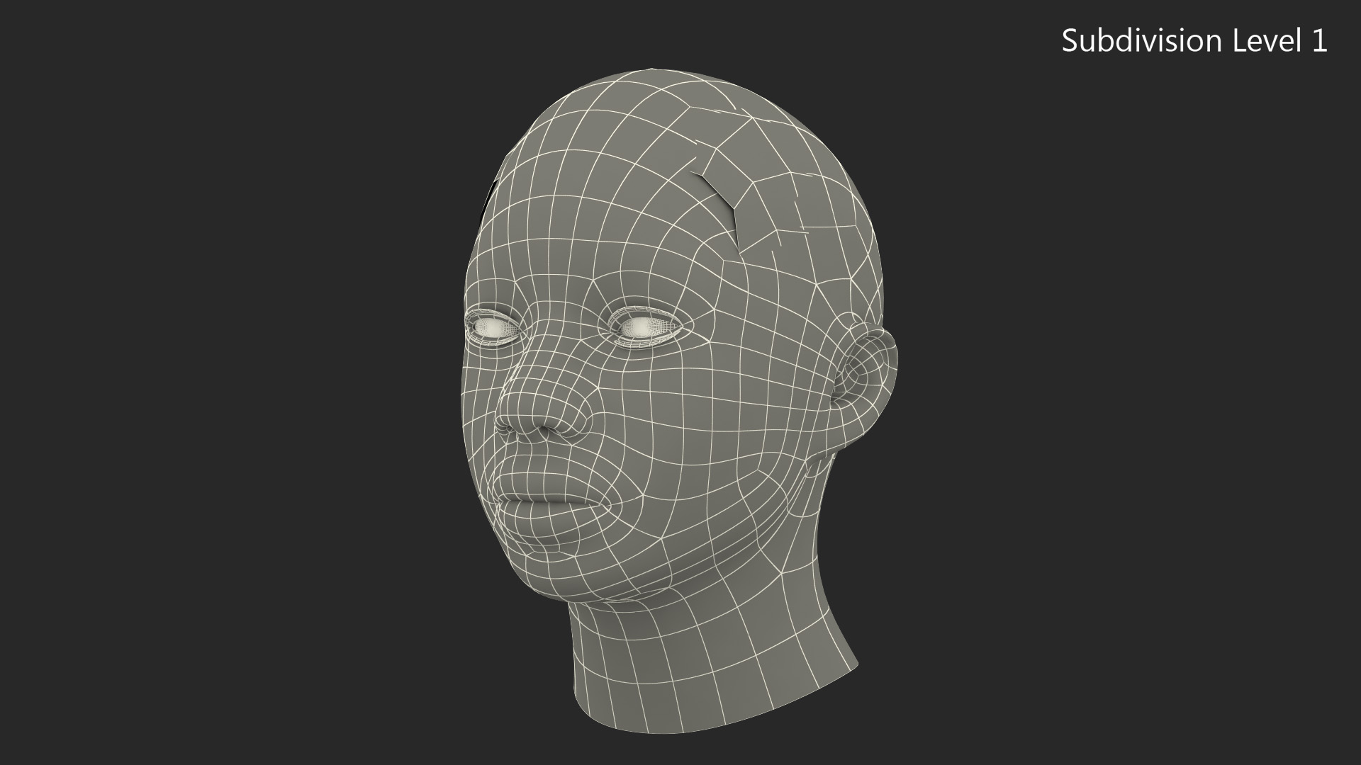 African American Female Head Fur 3D