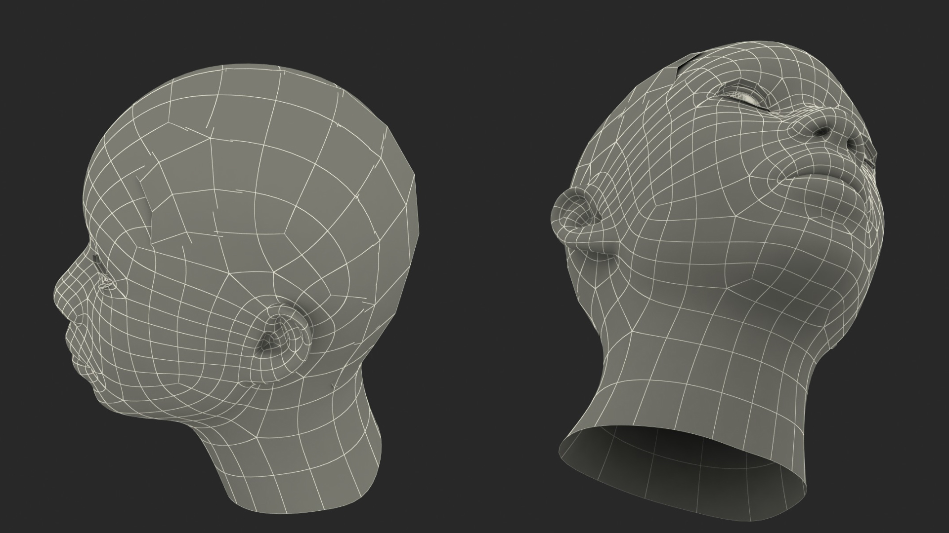 African American Female Head Fur 3D