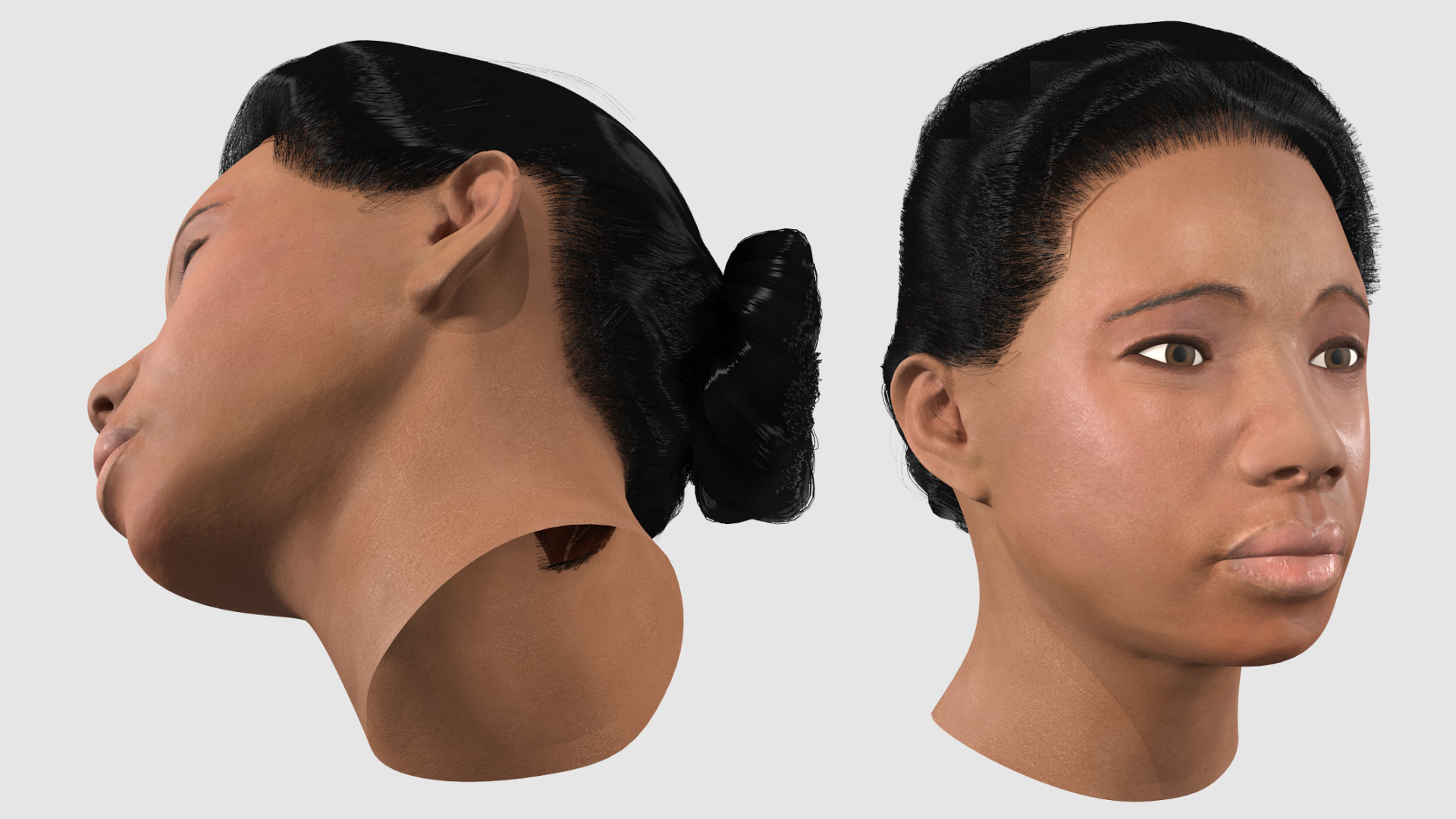 African American Female Head Fur 3D