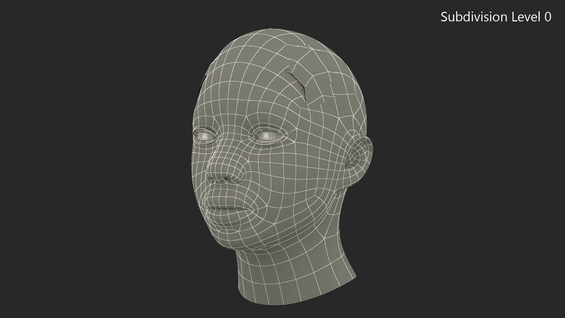 African American Female Head Fur 3D
