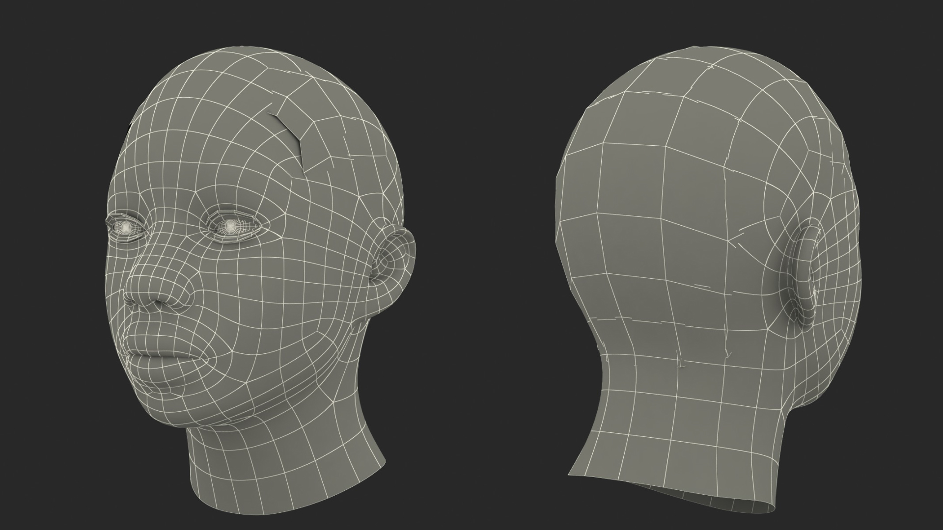 African American Female Head Fur 3D