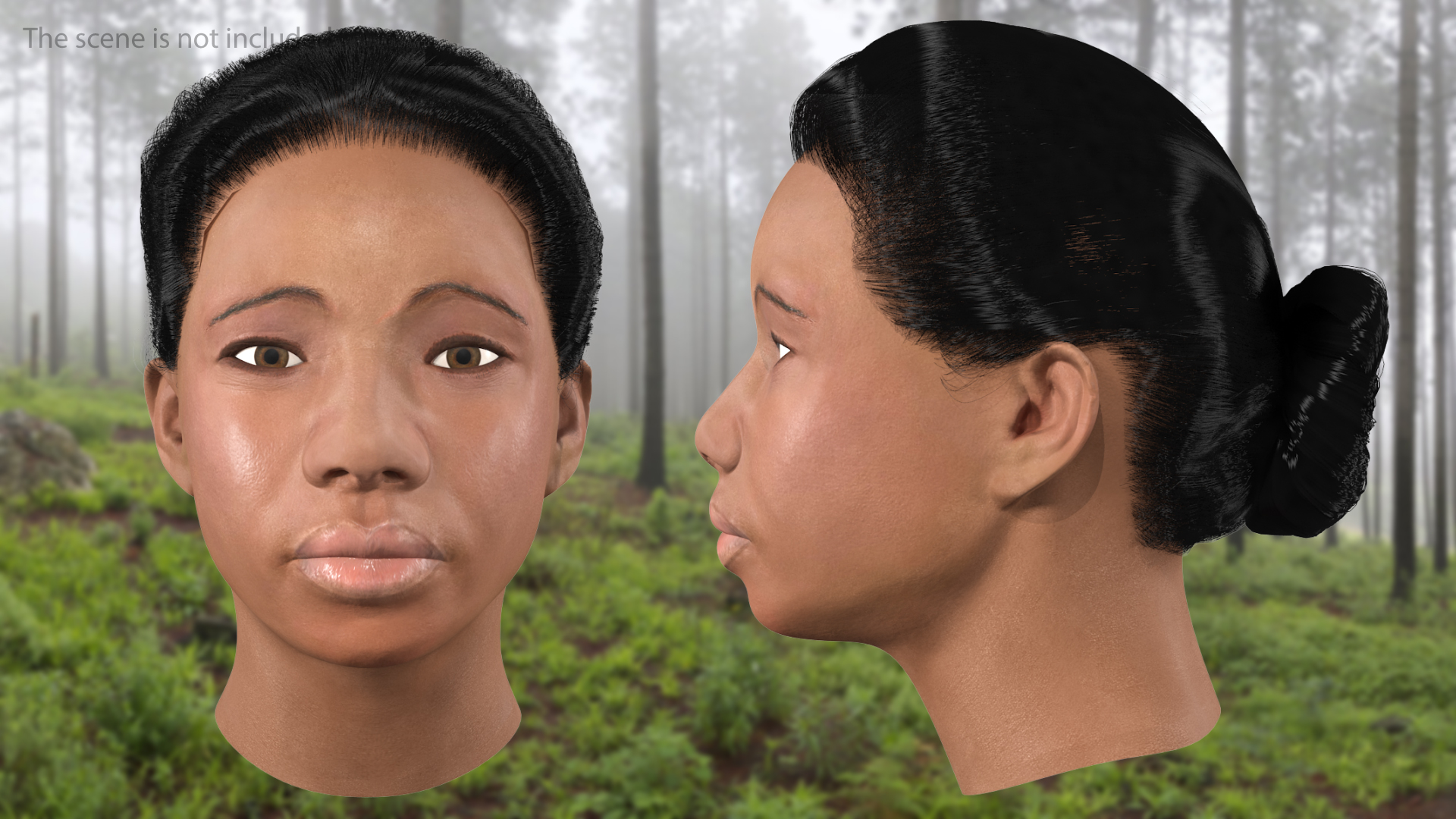 African American Female Head Fur 3D