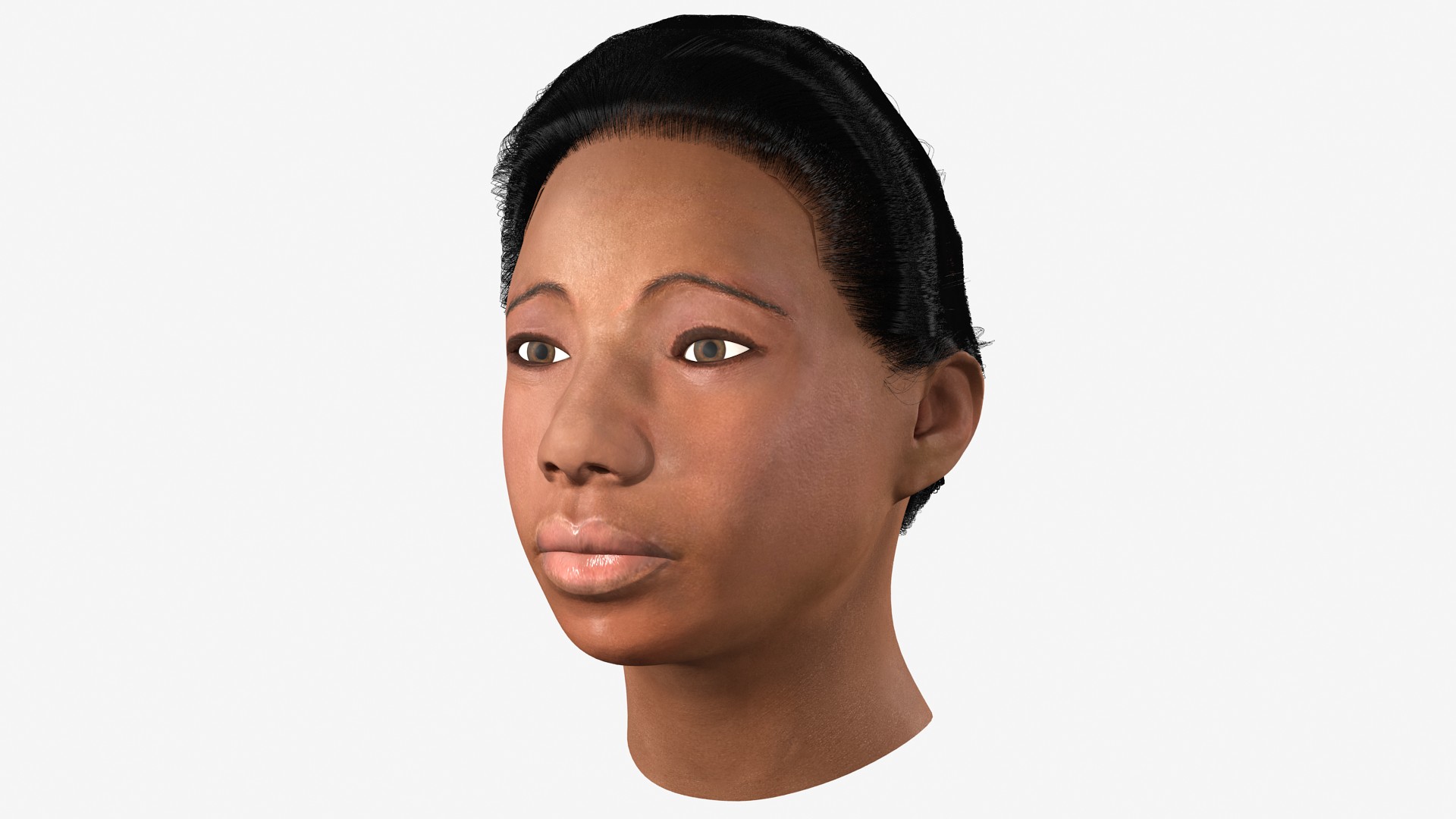 African American Female Head Fur 3D