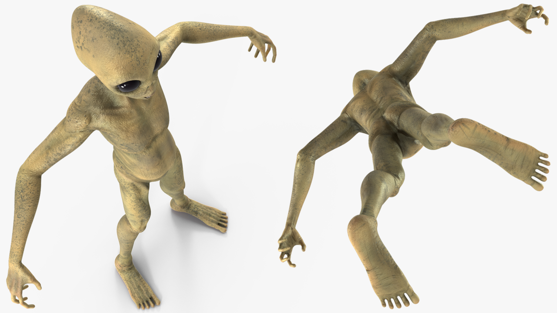 3D model Humanoid Alien Creature Rigged