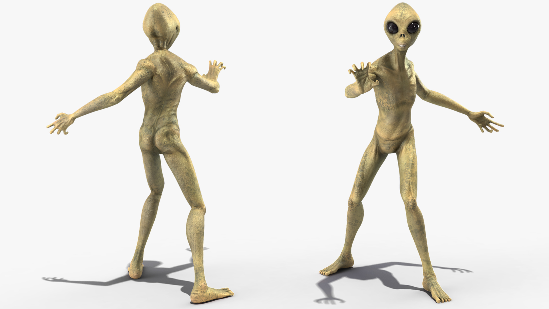 3D model Humanoid Alien Creature Rigged