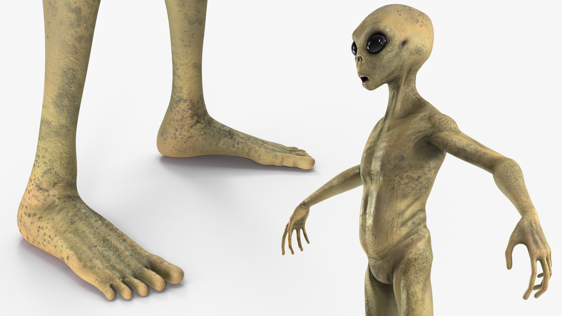 3D model Humanoid Alien Creature Rigged