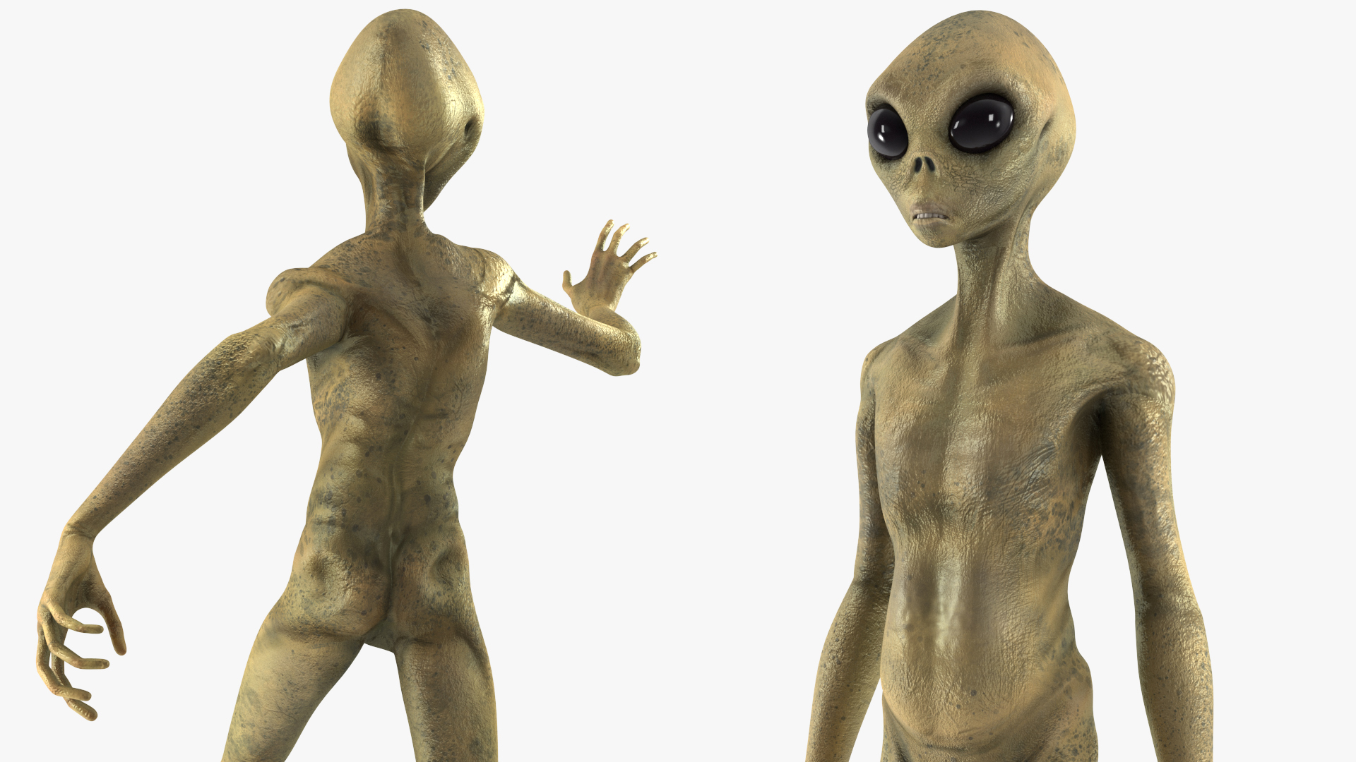 3D model Humanoid Alien Creature Rigged