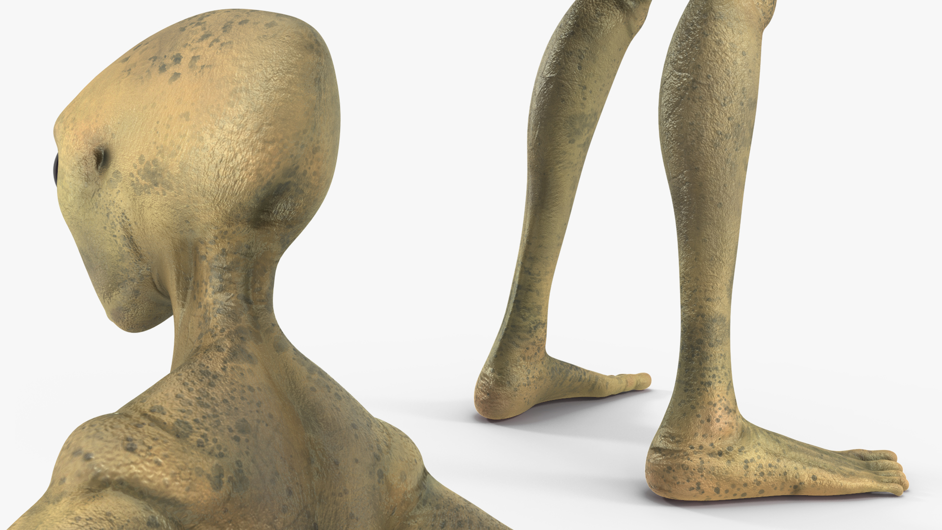 3D model Humanoid Alien Creature Rigged