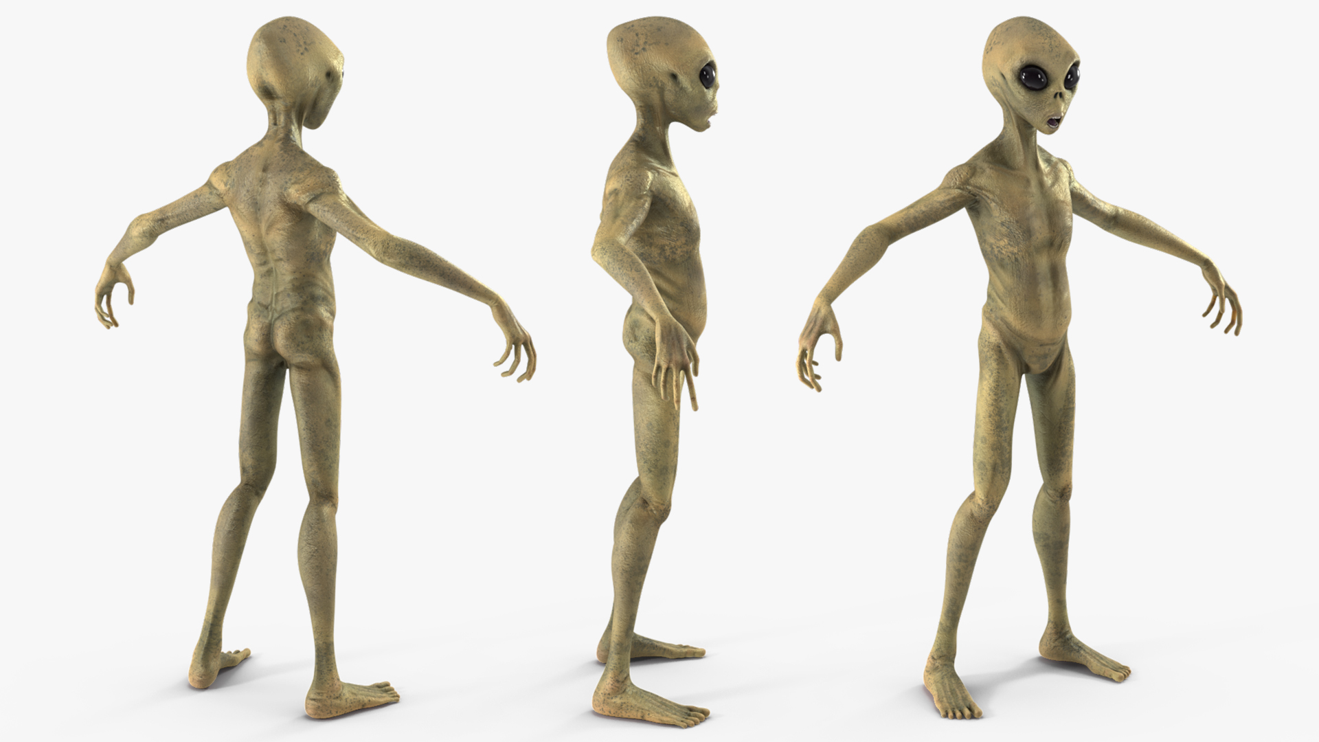 3D model Humanoid Alien Creature Rigged