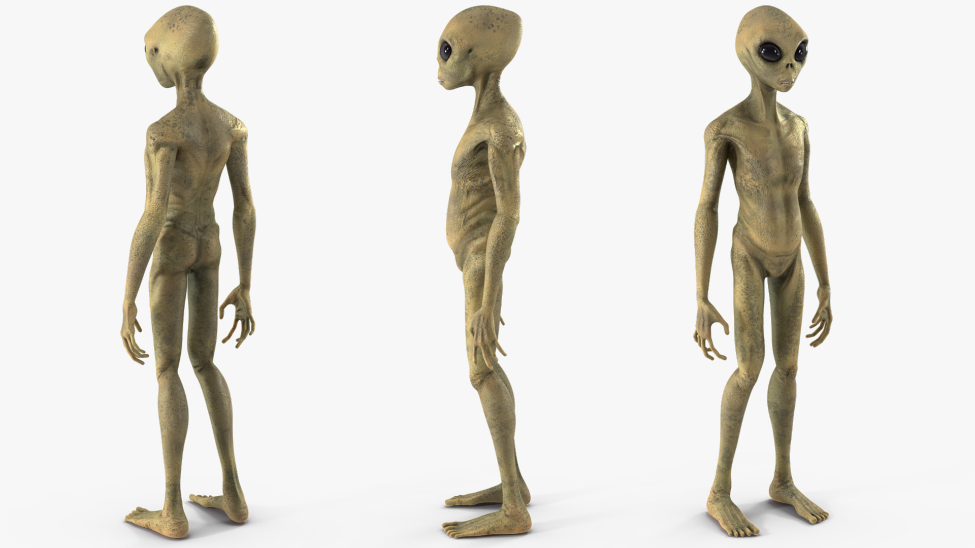 3D model Humanoid Alien Creature Rigged