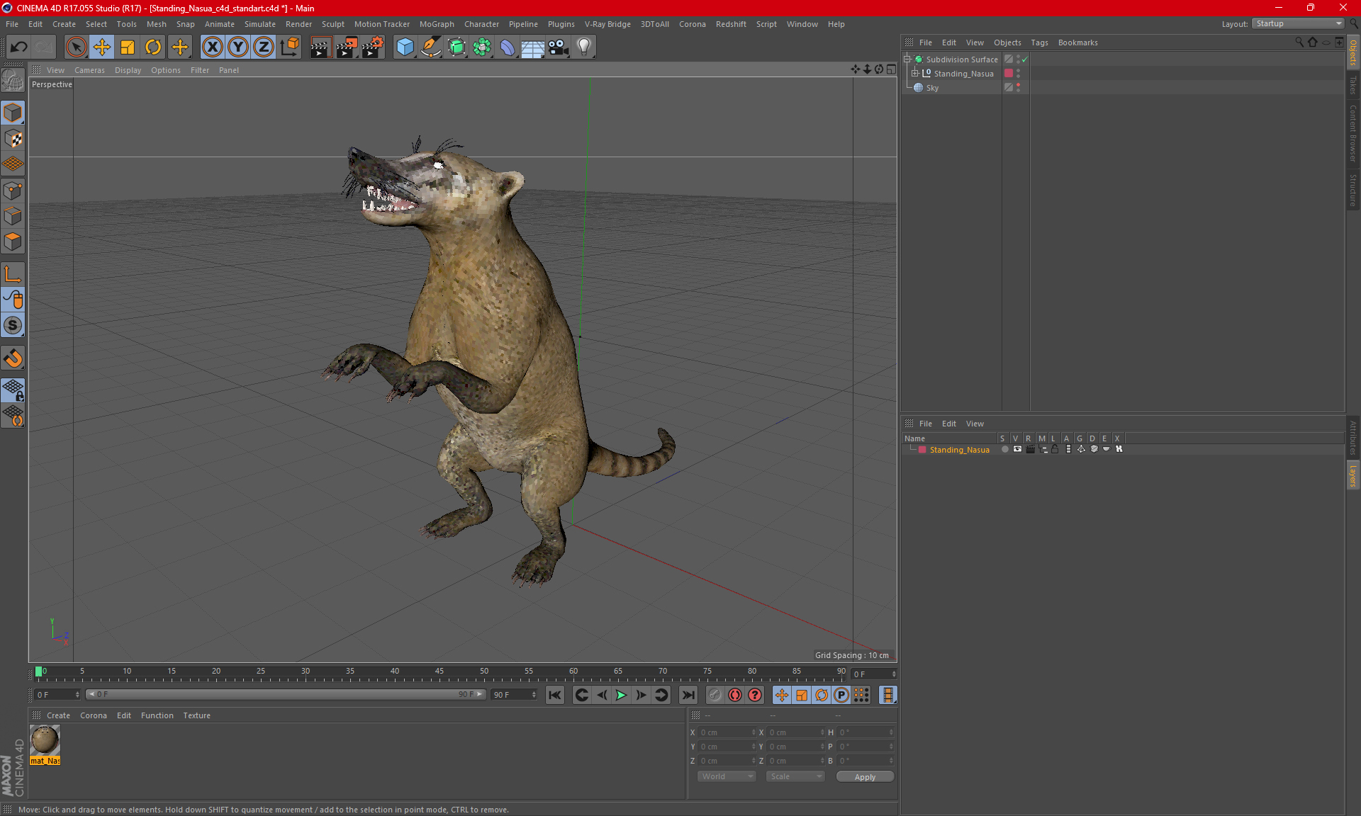 Standing Nasua 3D model