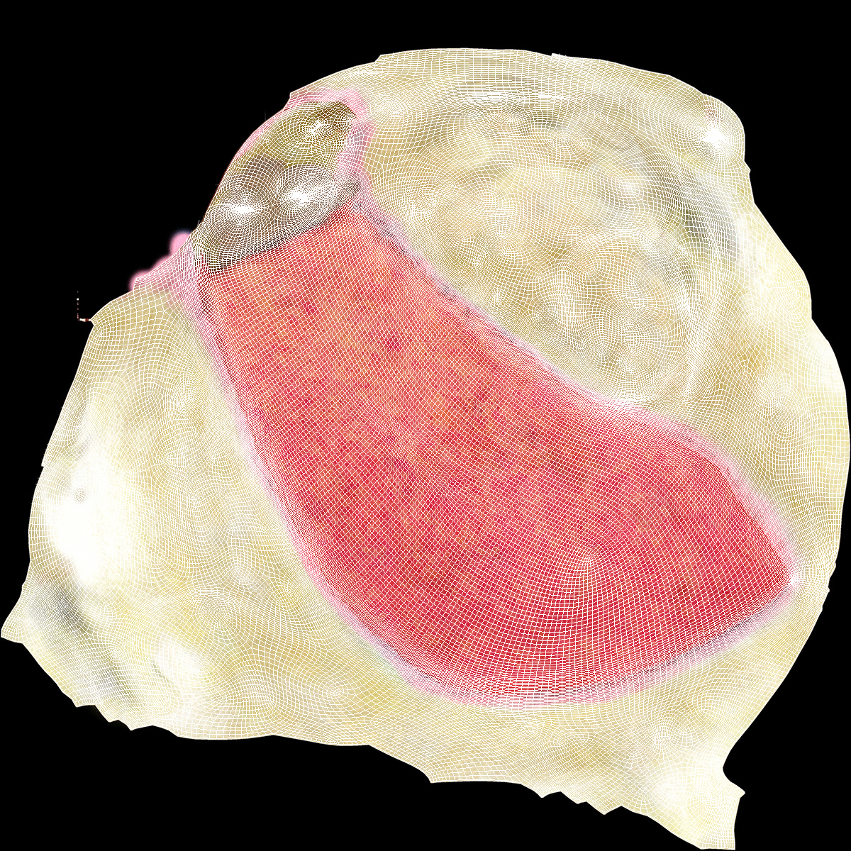 3D Fresh Pomegranate Quarter Slice