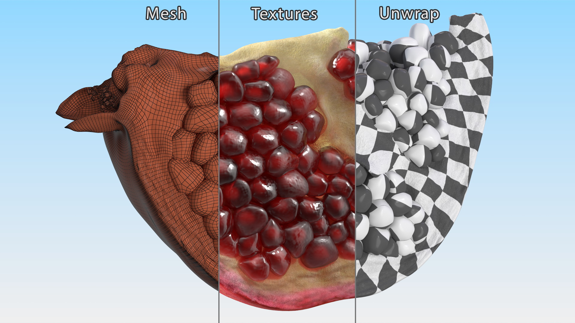 3D Fresh Pomegranate Quarter Slice