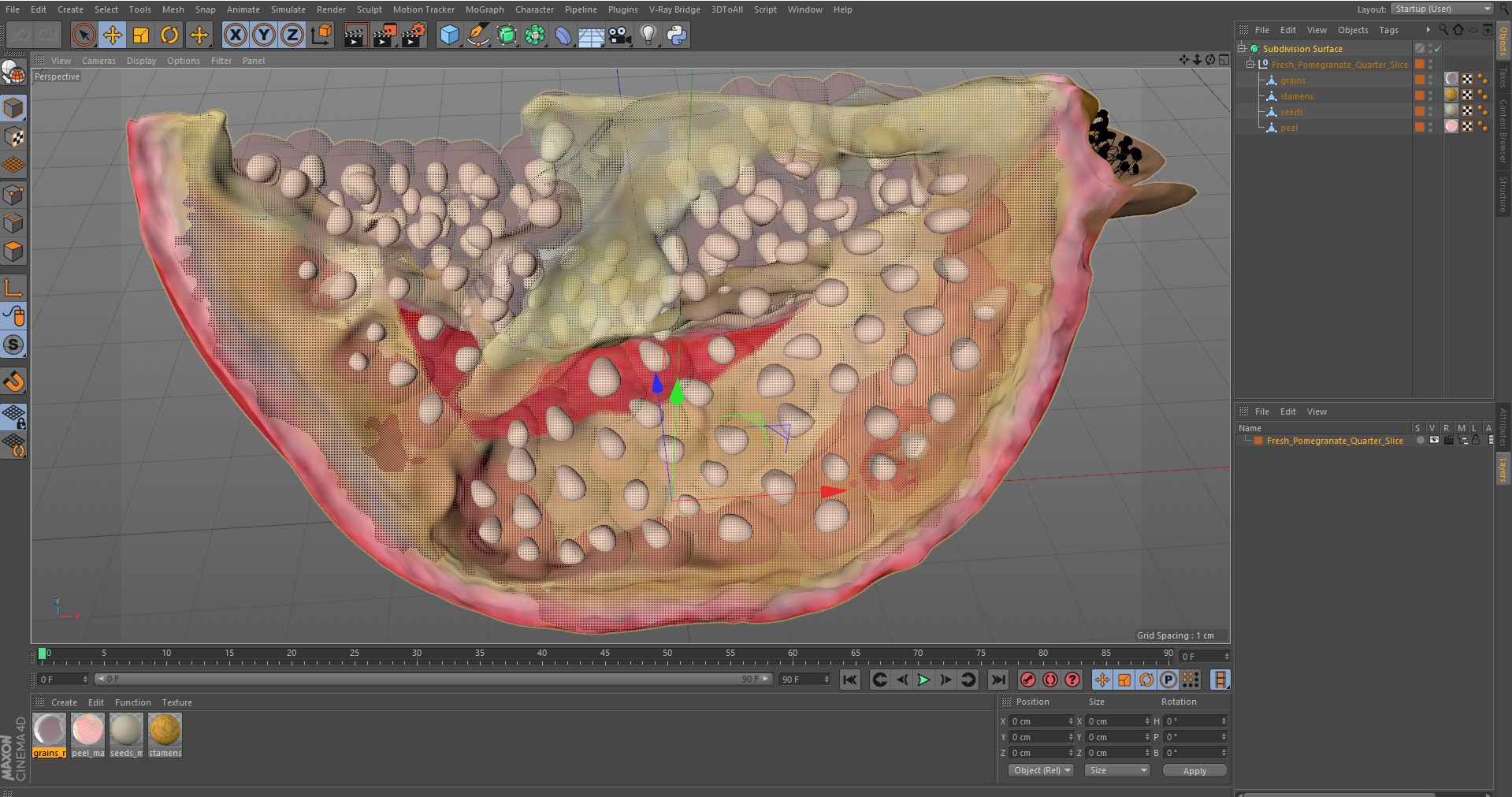 3D Fresh Pomegranate Quarter Slice