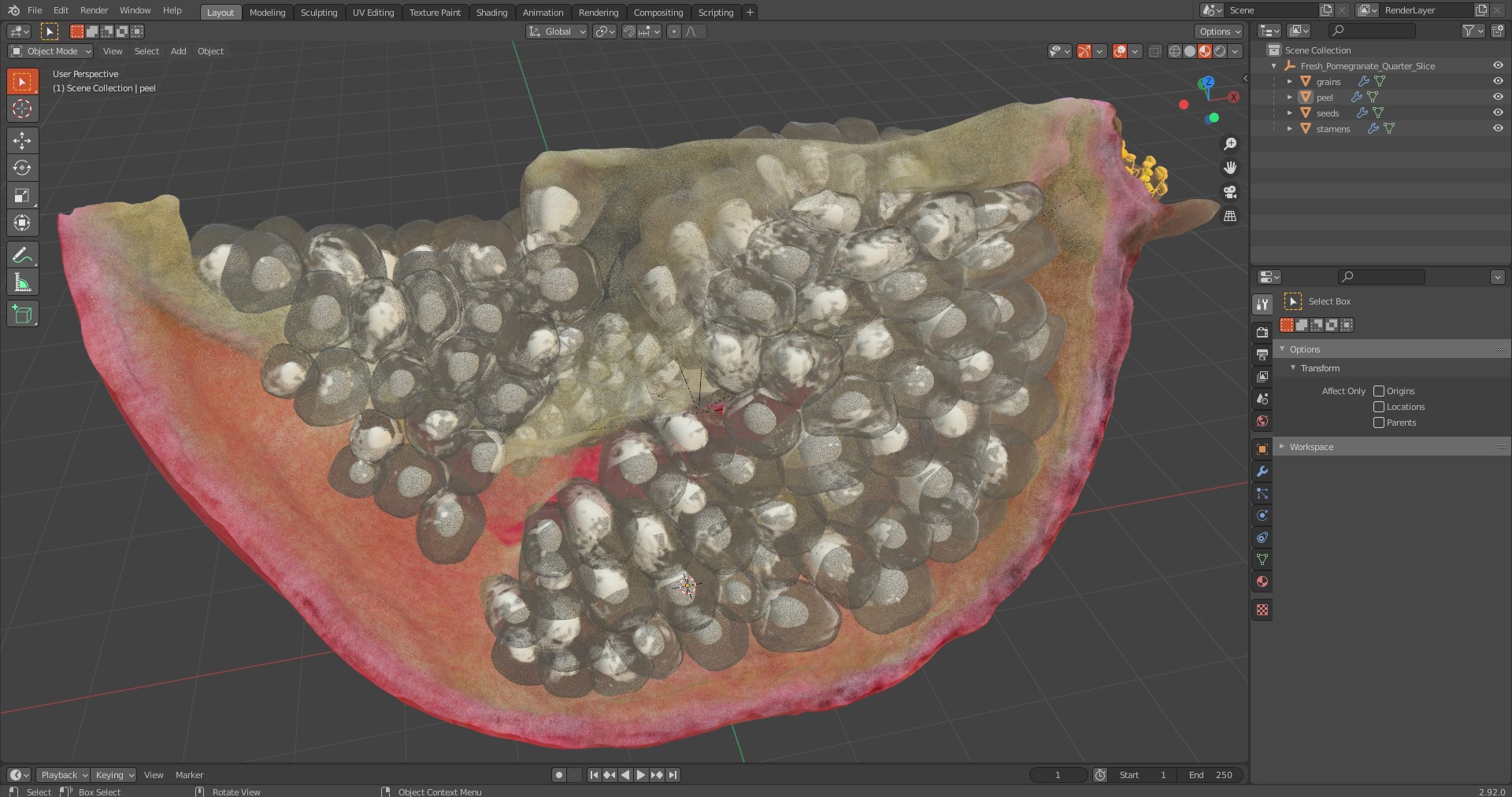 3D Fresh Pomegranate Quarter Slice