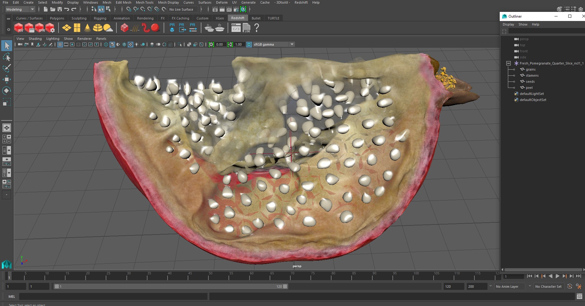 3D Fresh Pomegranate Quarter Slice