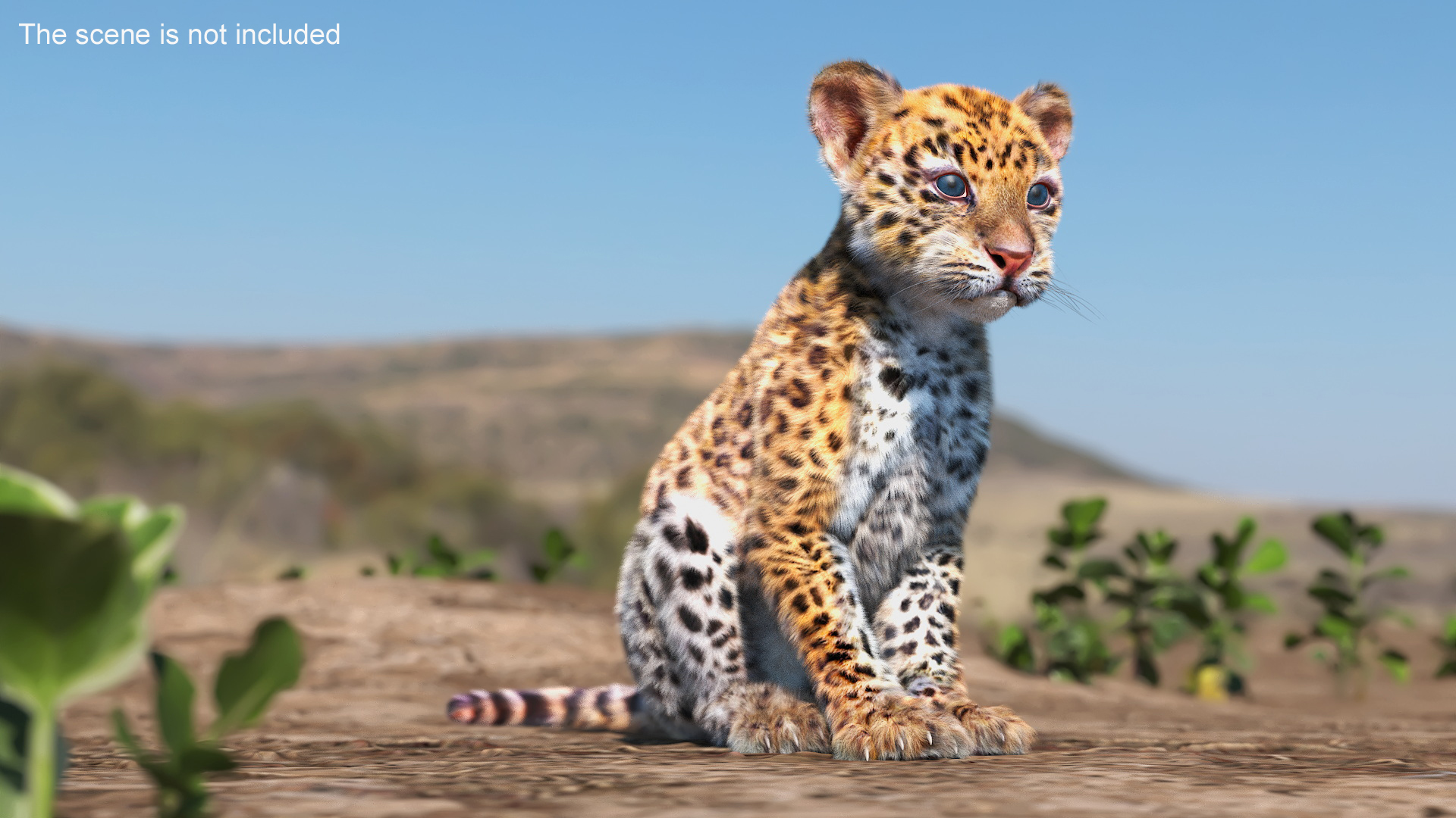 Leopard Cub Rigged with Fur 3D
