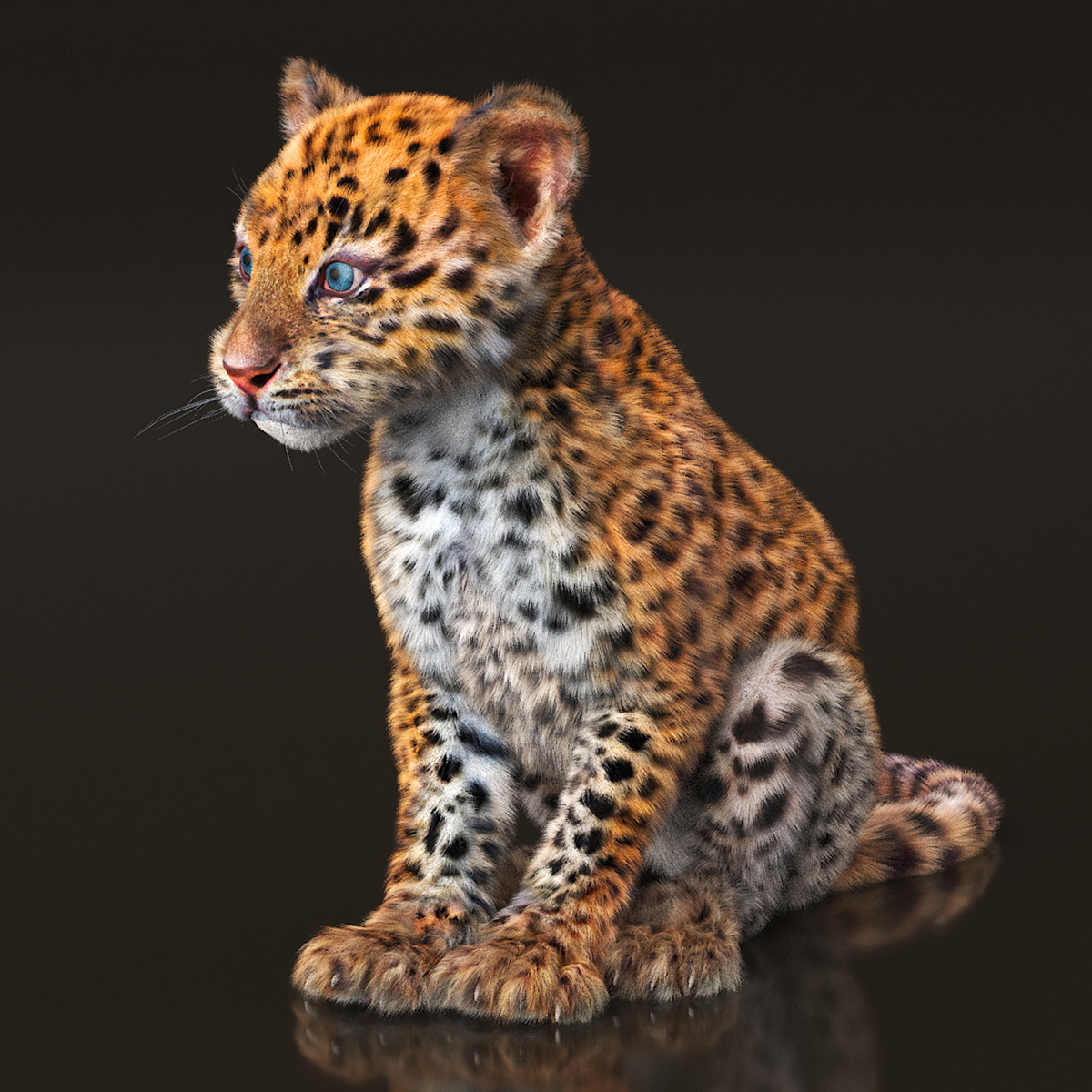Leopard Cub Rigged with Fur 3D