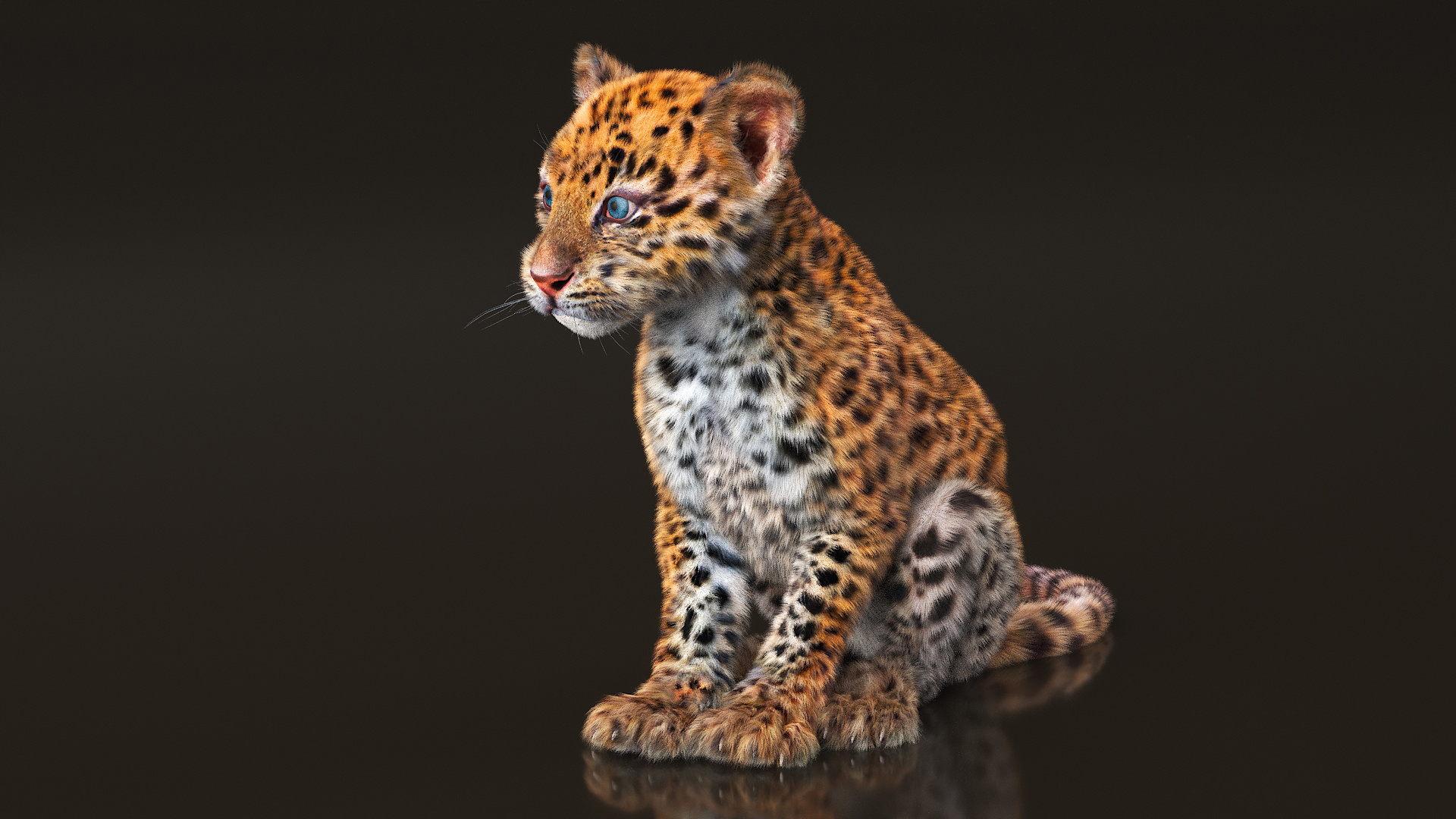 Leopard Cub Rigged with Fur 3D