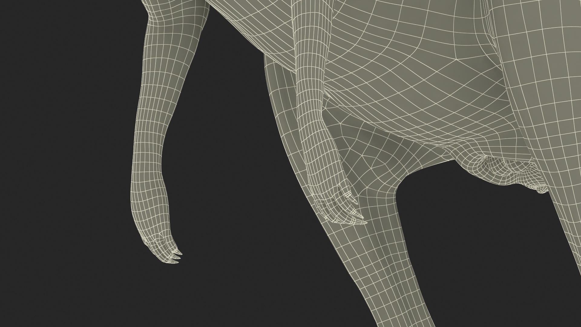 3D model Kangaroo Rigged
