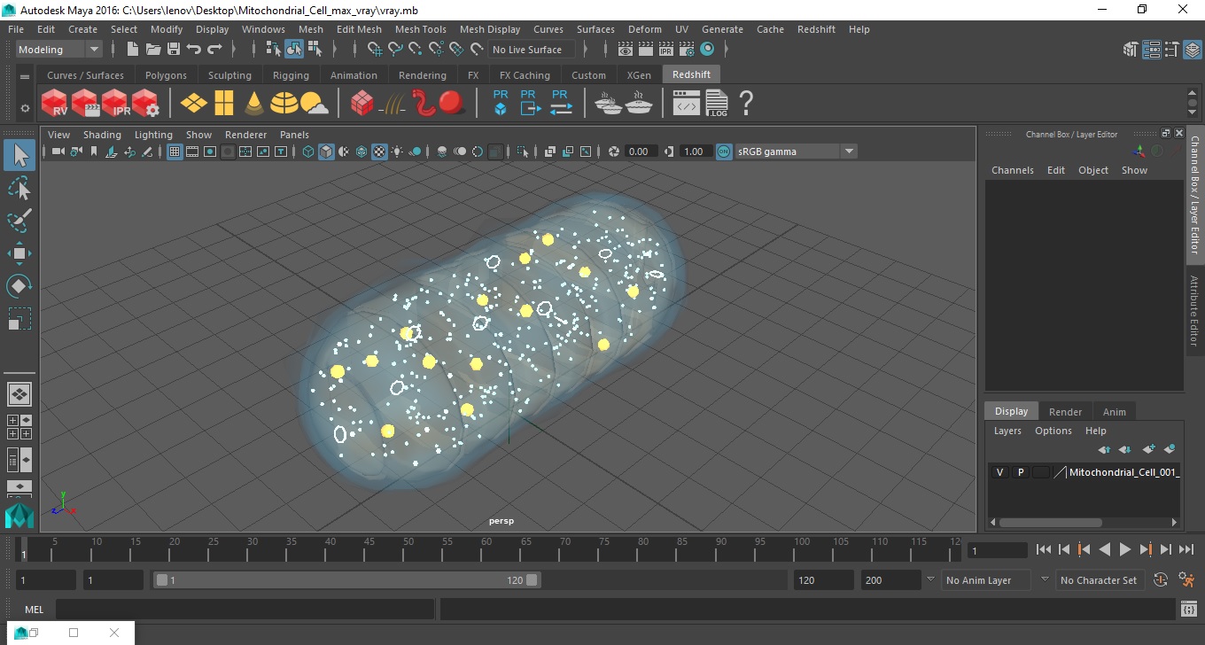 3D Mitochondrial Cell model