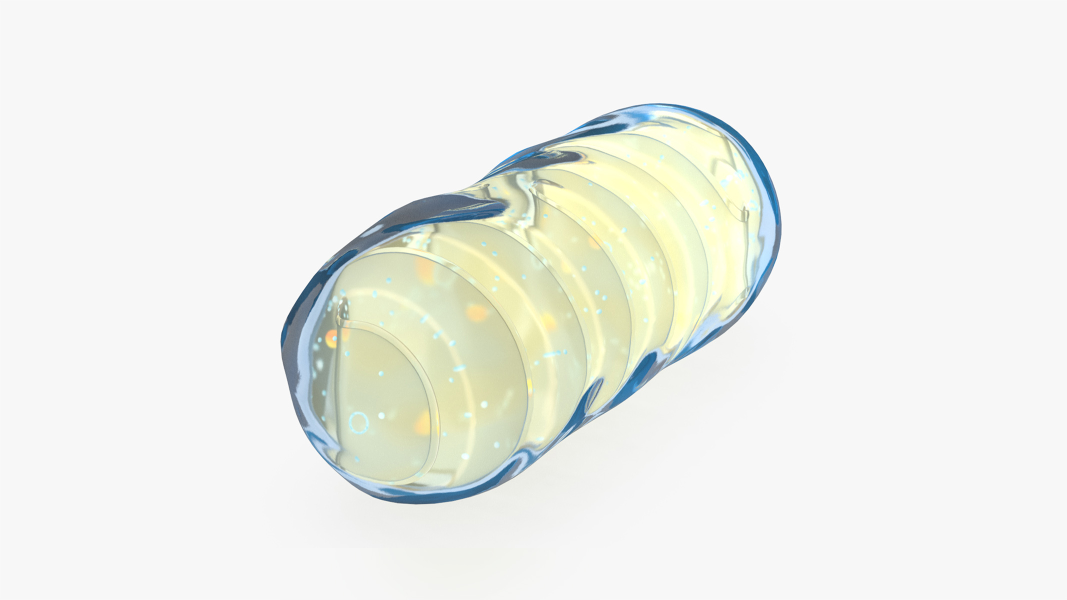 3D Mitochondrial Cell model