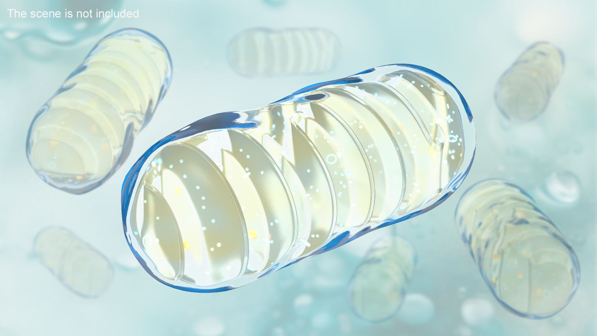 3D Mitochondrial Cell model