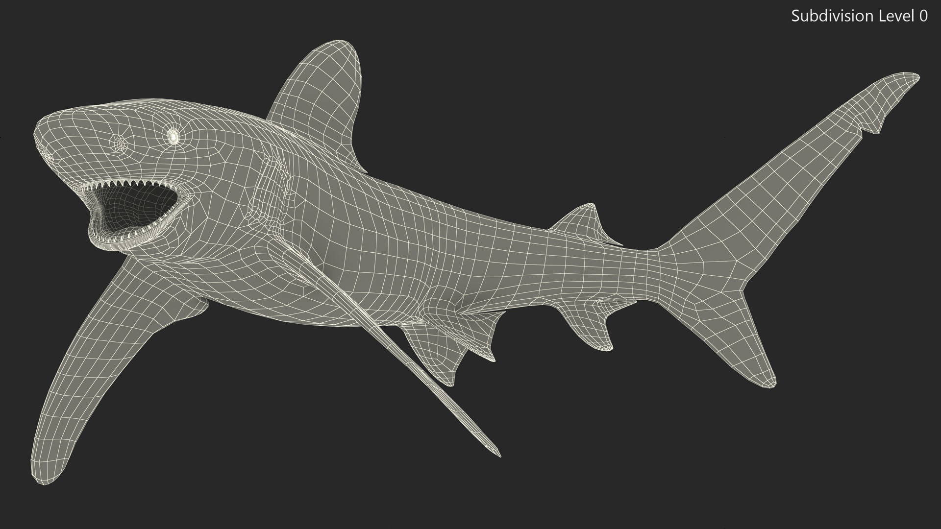 Oceanic Whitetip Shark or Carcharhinus Longimanus 3D model