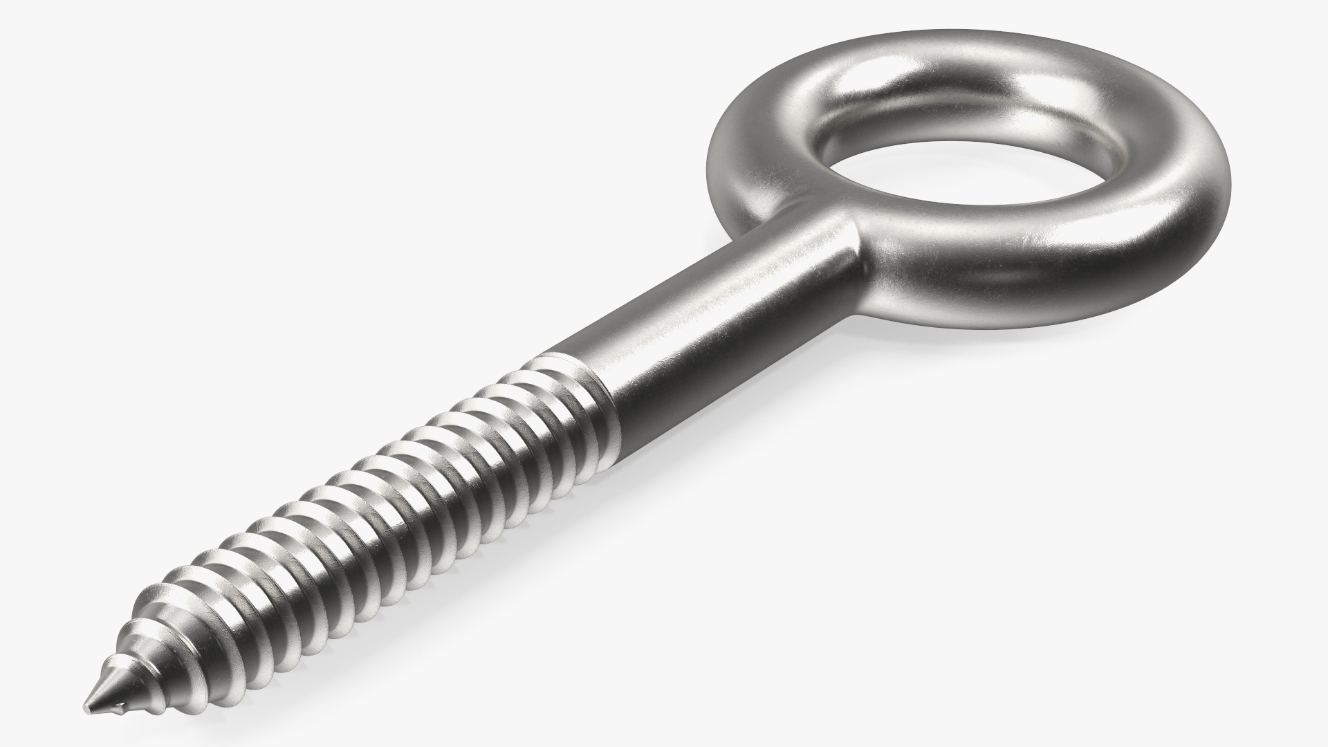 3D Eye Lag Screw model