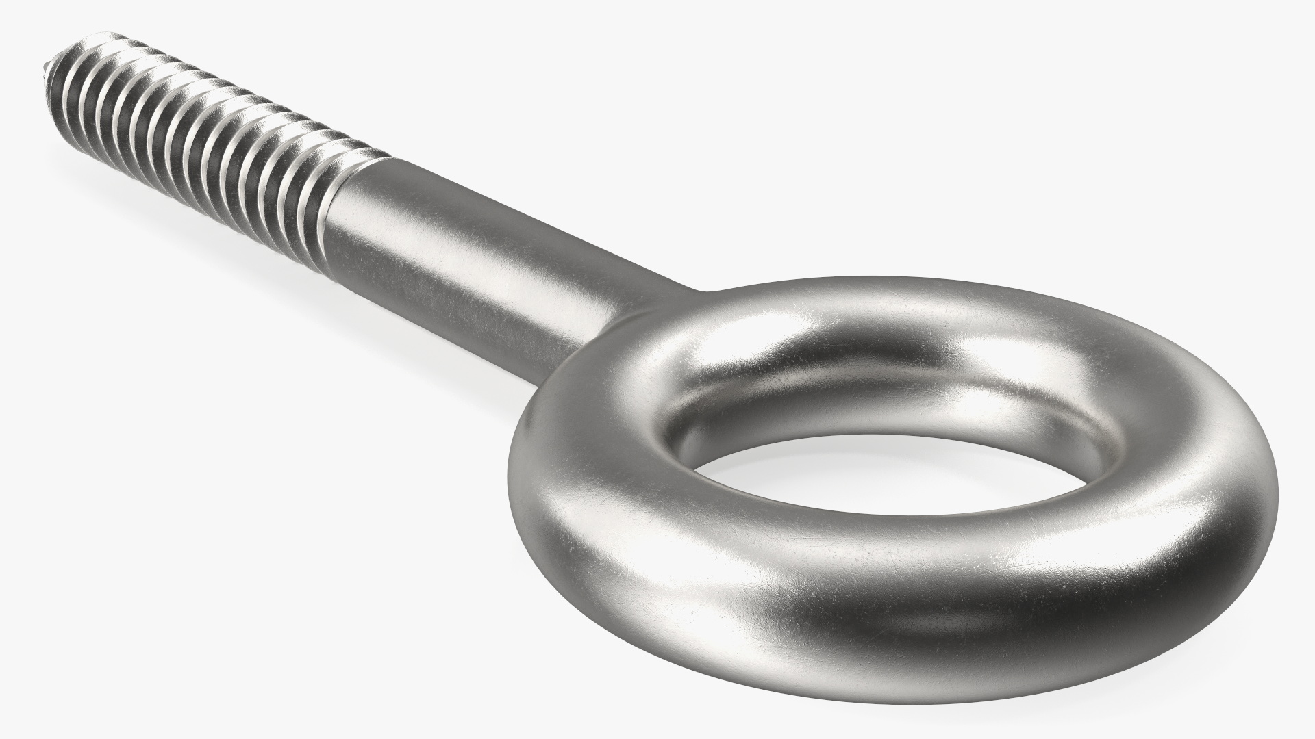 3D Eye Lag Screw model