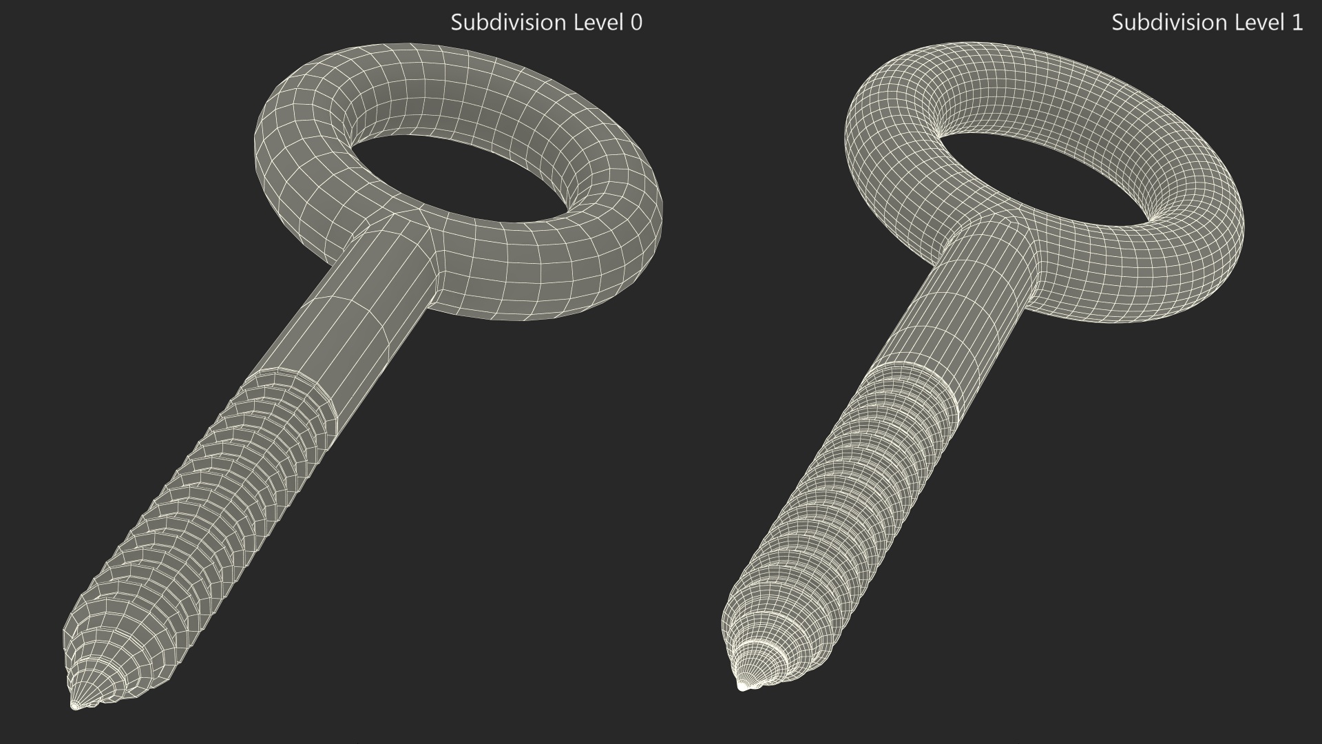 3D Eye Lag Screw model